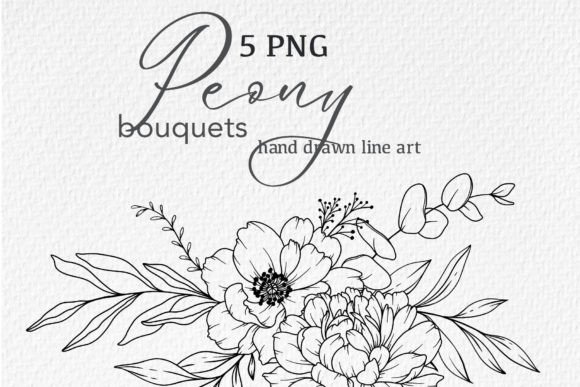Download Peony LINE DRAWING, Floral Line Art - Premium Resources
